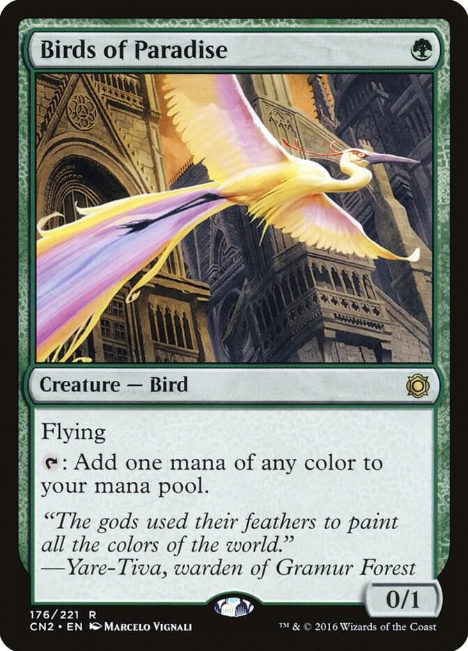 Birds of Paradise - Green