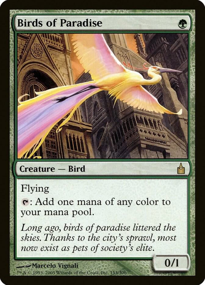 Birds of Paradise - Green