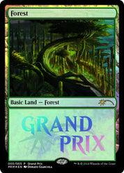 Forest - Land