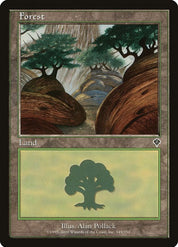 Forest - Land