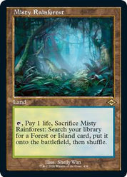 Misty Rainforest - Land