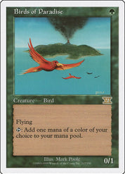 Birds of Paradise - Green