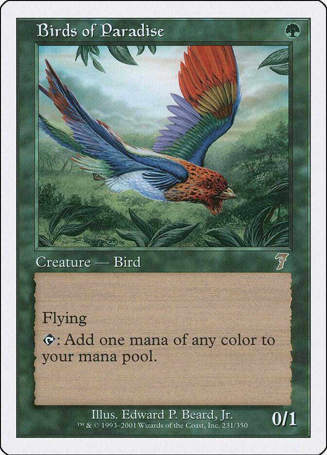 Birds of Paradise - Green