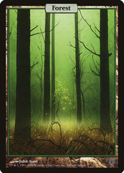 Forest - Land
