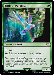 Birds of Paradise - Green