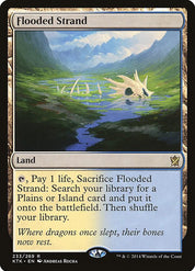 Flooded Strand - Land
