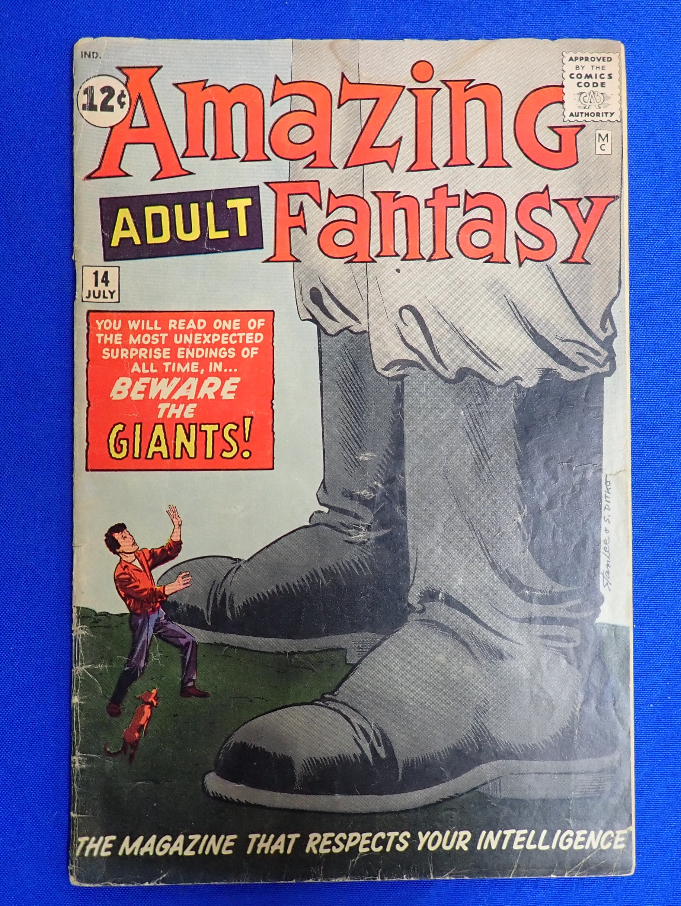 Amazing Fantasy #14 (1962) - GD/VG (3.0)