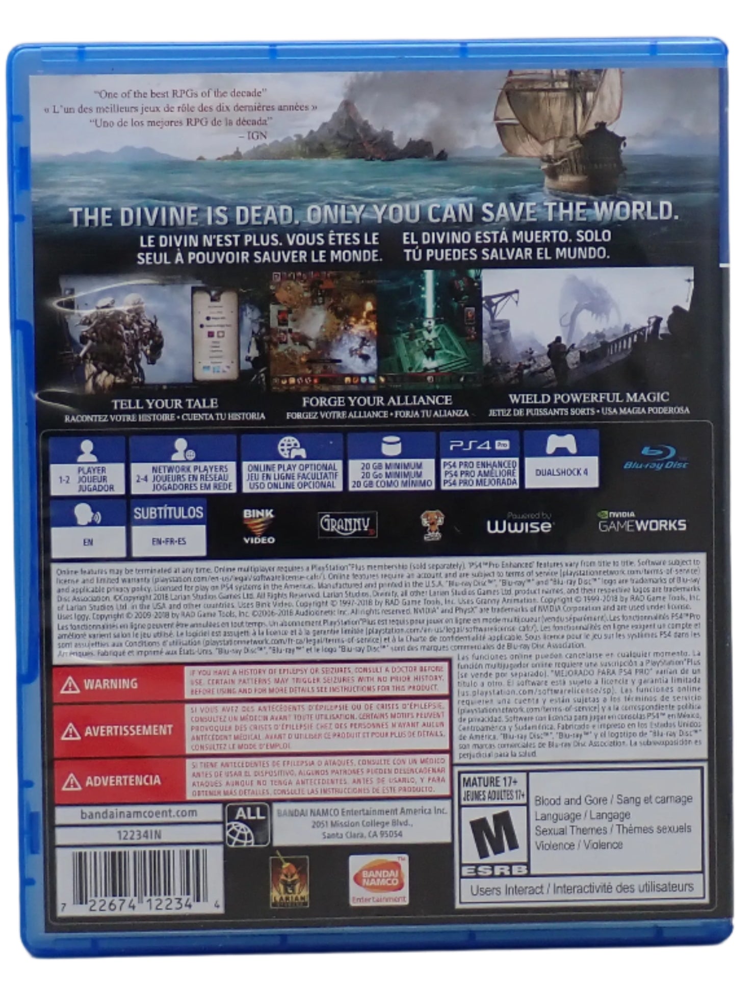 Divinity II Original Sin Definitive Edition - PS4