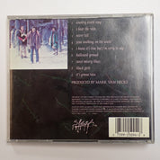 Violent Femmes - Hallowed Ground - CD