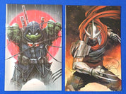 TMNT Virgin Variants (#132 & Last Ronin Lost Years #1 Director's Cut)
