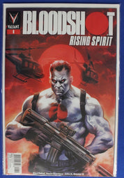 Bloodshot Salvation #1-12 Complete Set + Rising Spirit & USA VF/NM