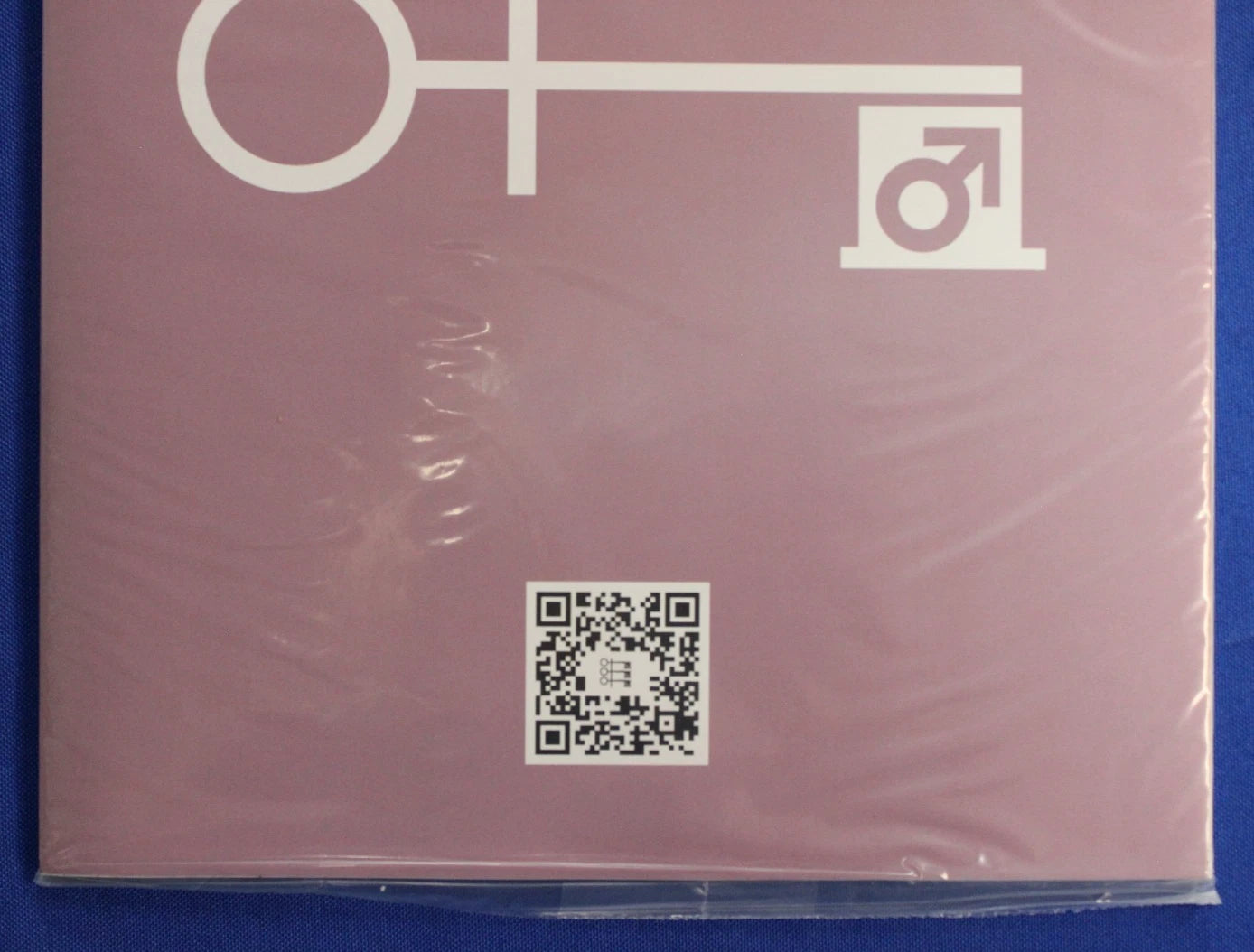 Penthouse Comics #1H Brao Variant NM