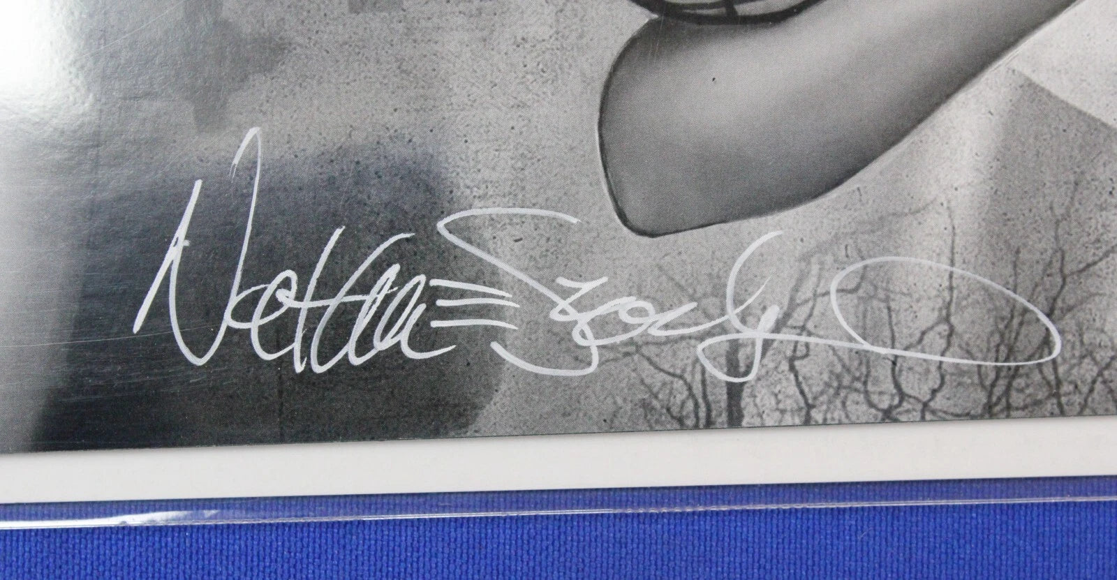 Zirty Girlz #2 Lily Munster Tattoo SIGNED by Nathan Szerdy w/ COA NM-