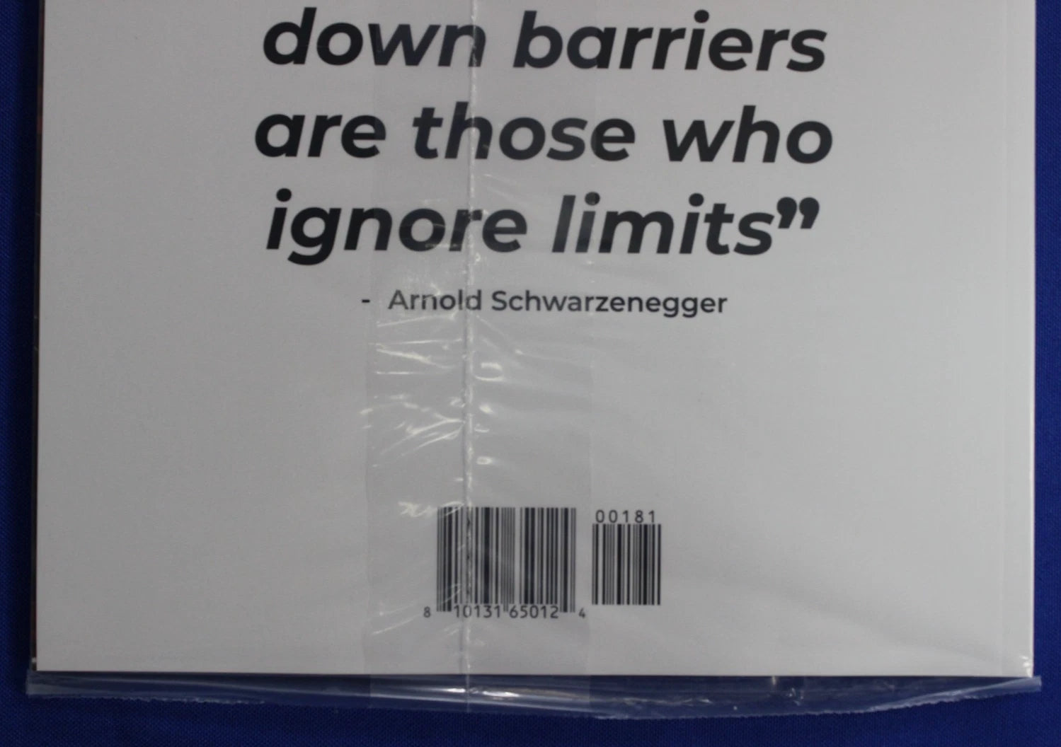 Penthouse Comics #1H Brao Variant NM