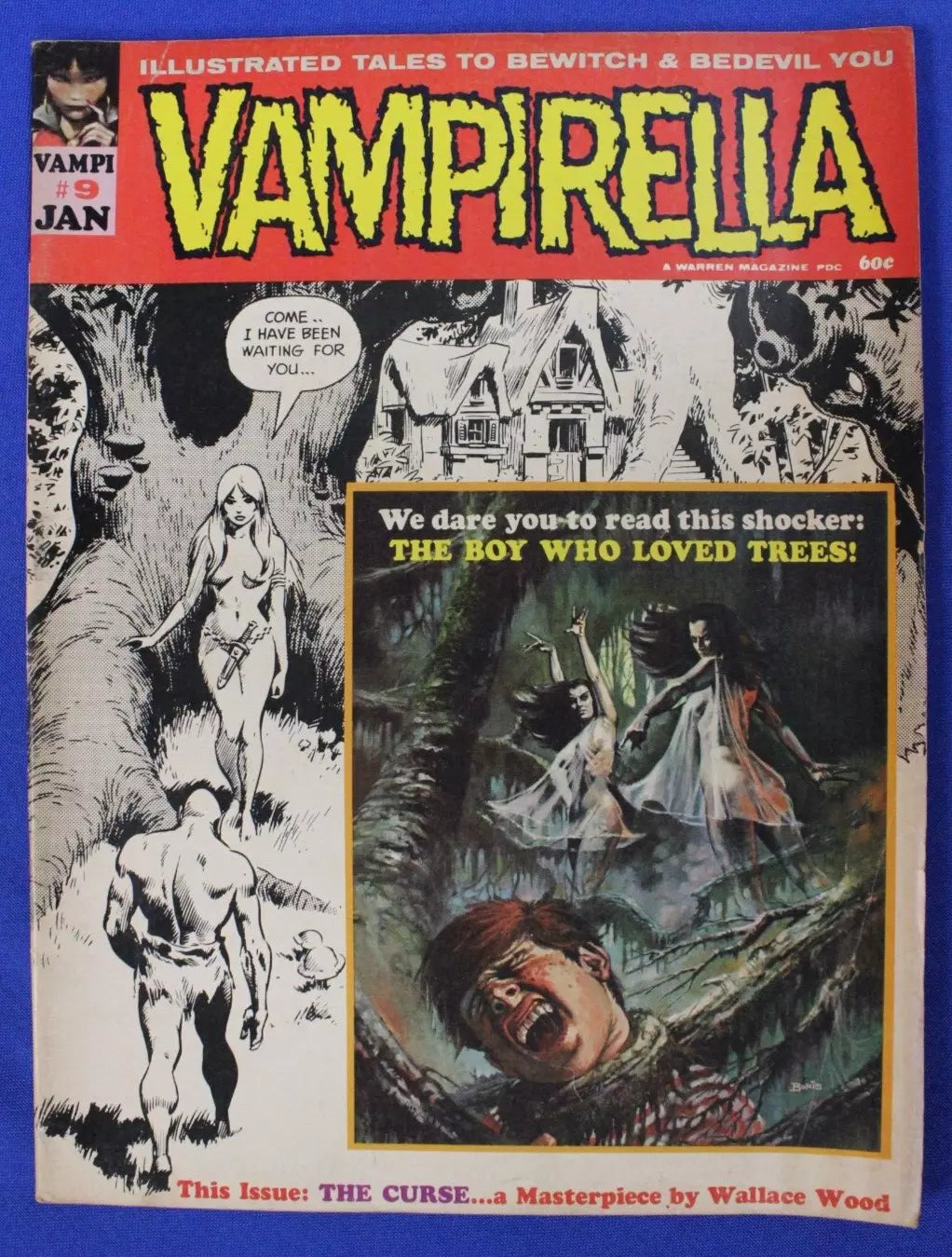 Vampirella Lot of 73 Magazines GD-VG