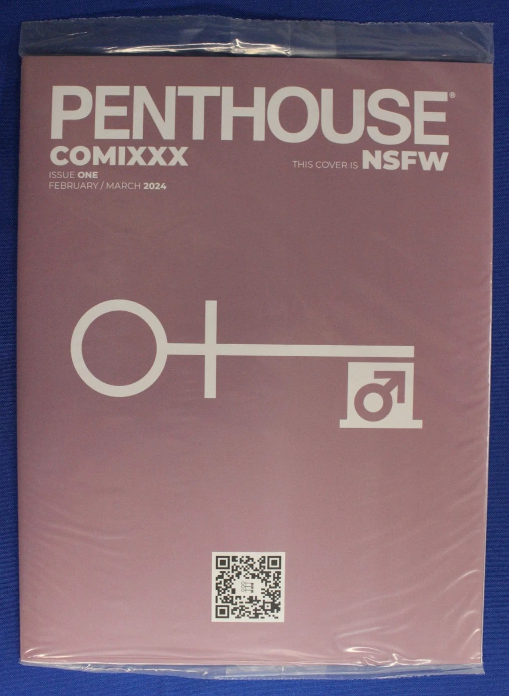 Penthouse Comics #1H Brao Variant NM