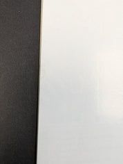 Black Widow #1 (2010) 1:10 Photo Variant - VF-