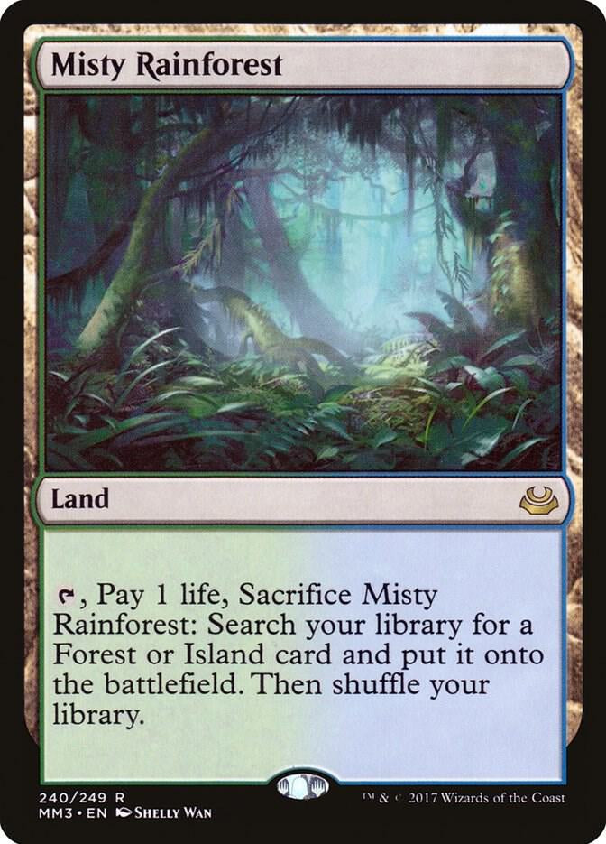 Misty Rainforest - Land