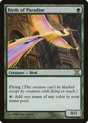 Birds of Paradise - Green