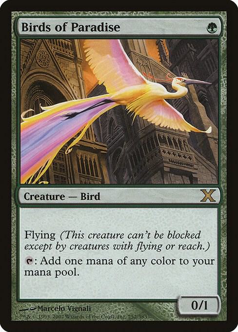 Birds of Paradise - Green