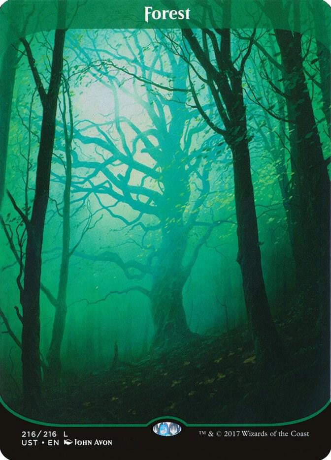 Forest - Land