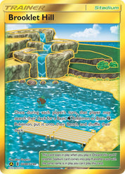 Brooklet Hill - Trainer