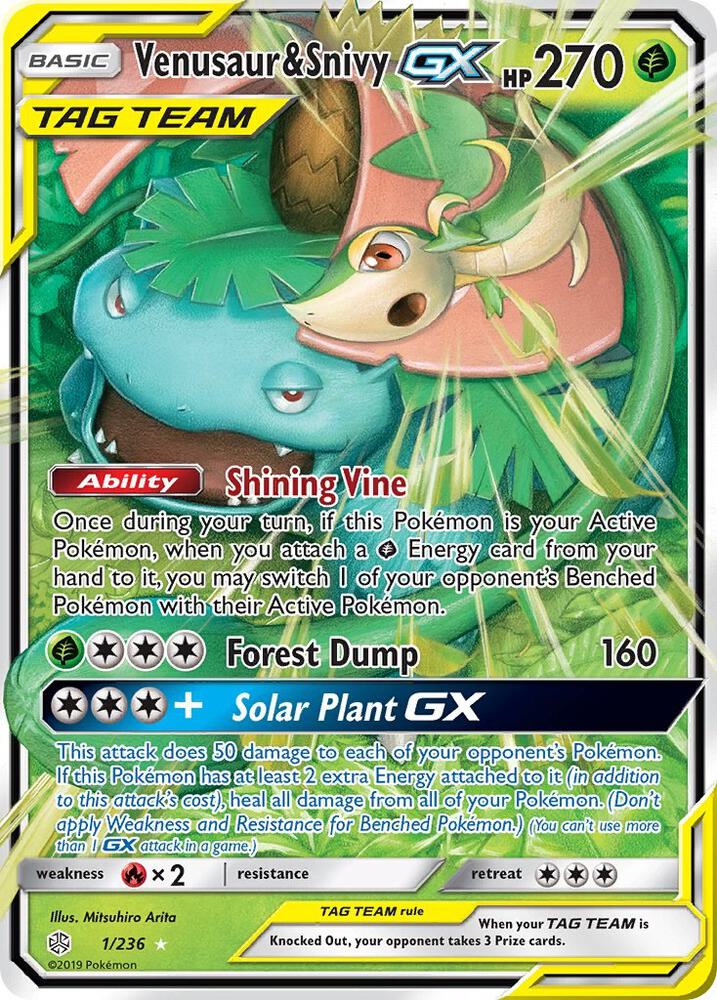 Venusaur & Snivy GX - Grass