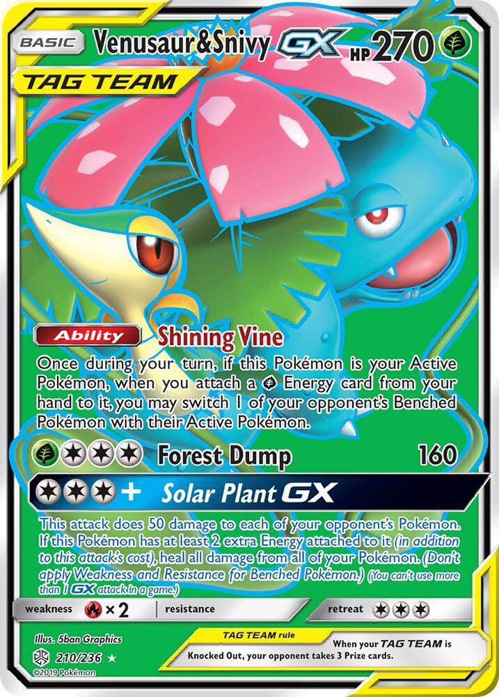 Venusaur & Snivy GX - Grass