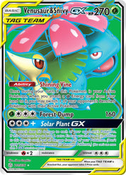 Venusaur & Snivy GX - Grass