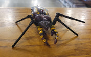 Tarantulas Beast Wars