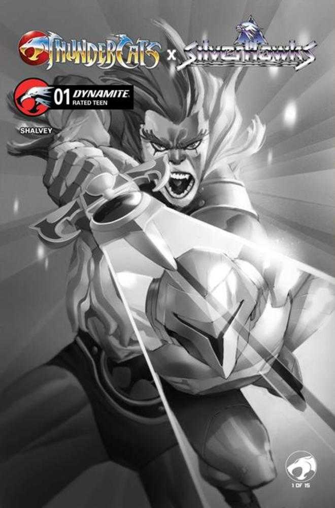 Thundercats X Silverhawks #1 1:20 Cover K Eric Canete Black & White Variant (VF/NM)