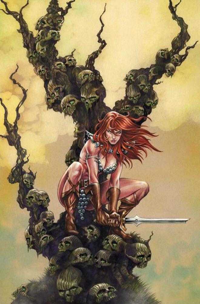 Red Sonja She Devil With A Sword #5 1:10 Cover I Mike Rooth Full Art Variant