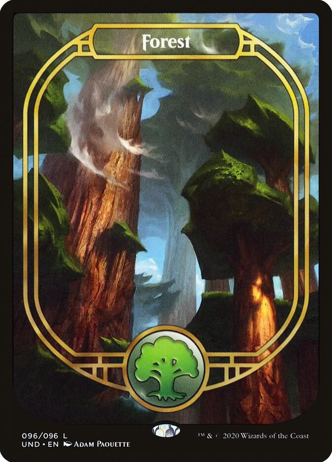 Forest - Land
