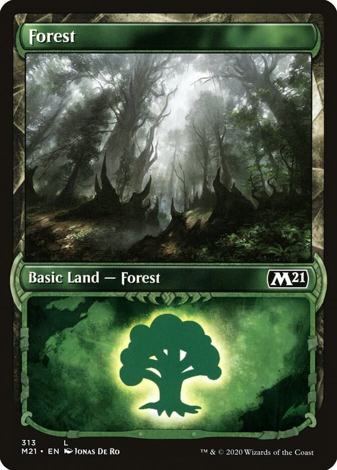 Forest - Land