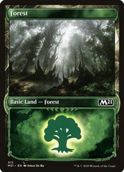 Forest - Land