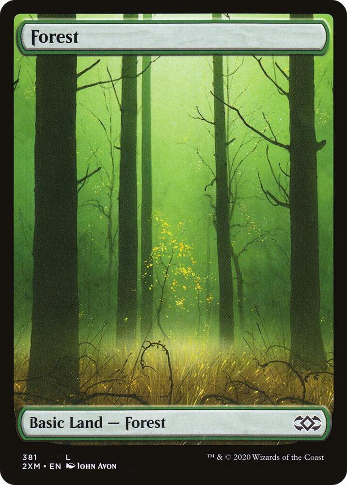 Forest - Land