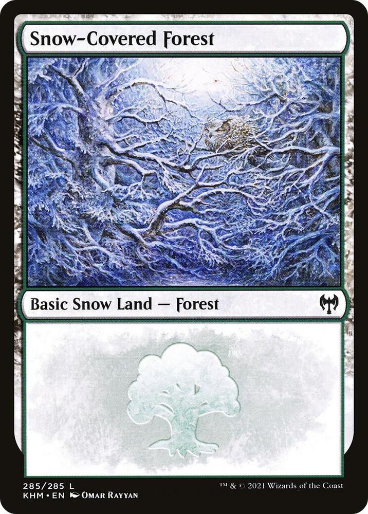 Snow-Covered Forest - Land
