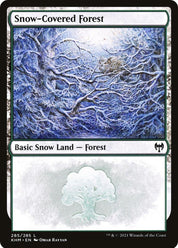Snow-Covered Forest - Land