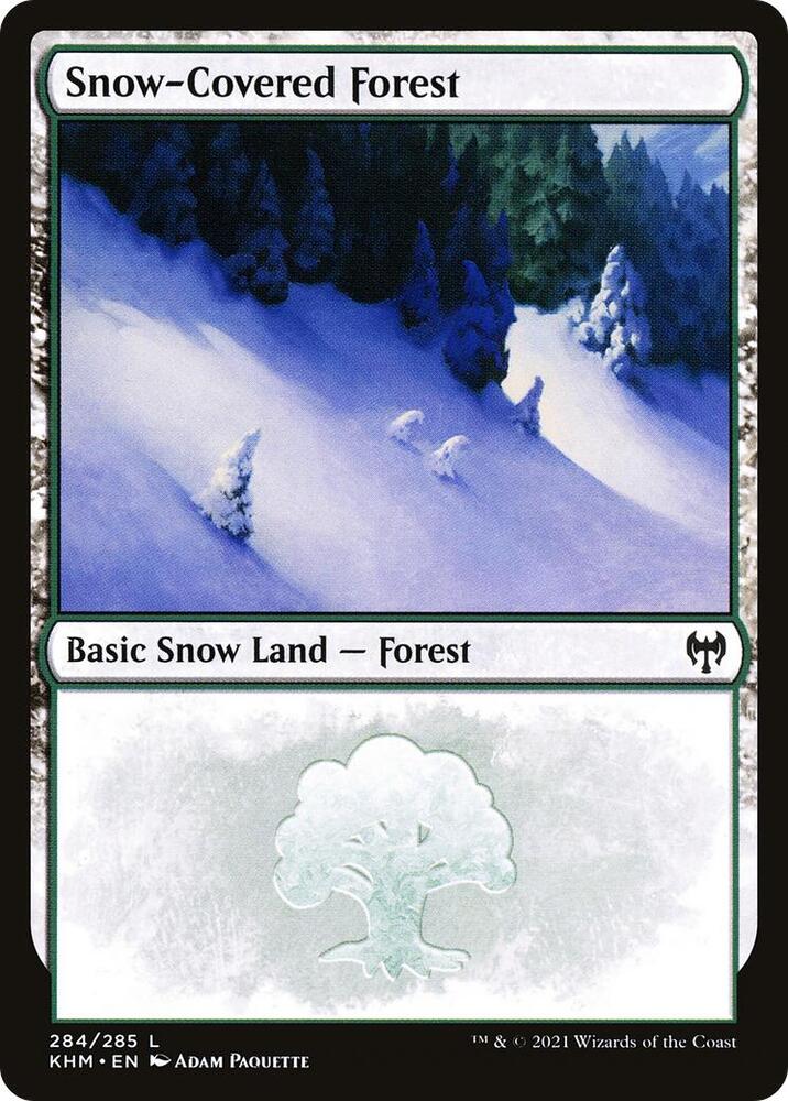 Snow-Covered Forest - Land