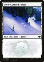 Snow-Covered Forest - Land