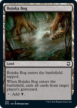 Bojuka Bog - Land