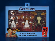 Load image into Gallery viewer, NECA Evolution of the Gremlin
