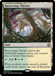 Razorverge Thicket - Land