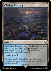 Choked Estuary - Land