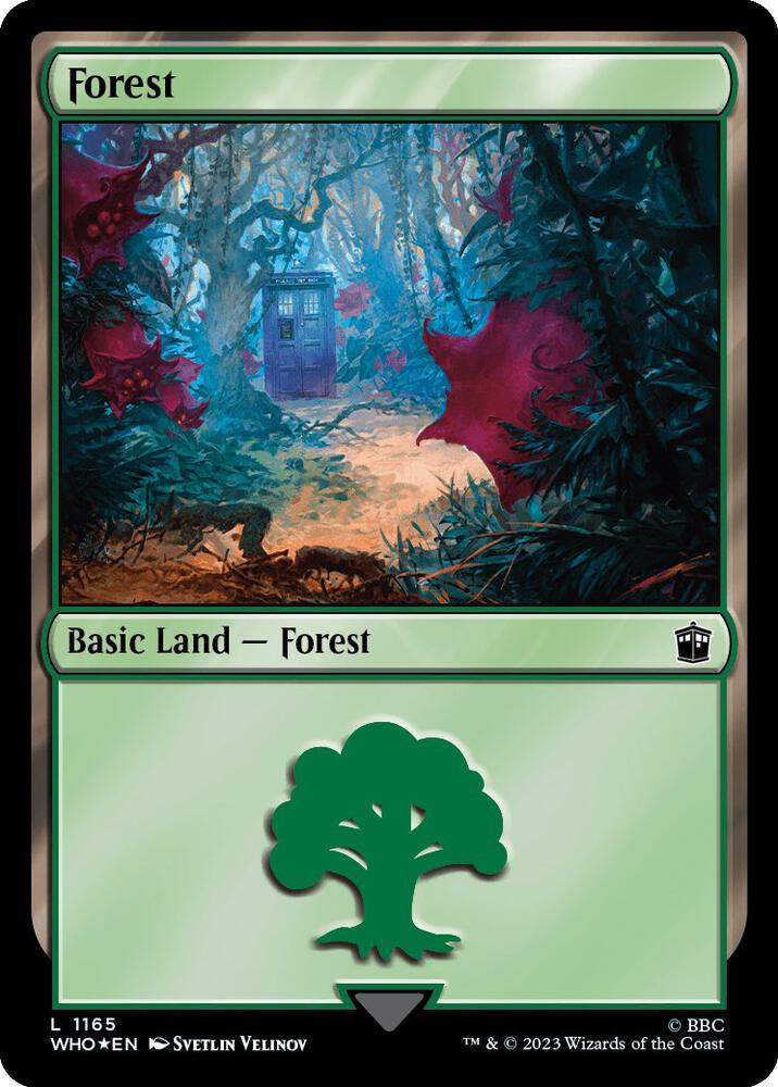 Forest - Land