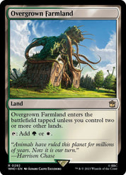 Overgrown Farmland - Land