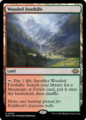 Wooded Foothills - Land