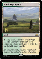 Windswept Heath - Land