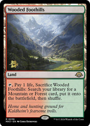 Wooded Foothills - Land