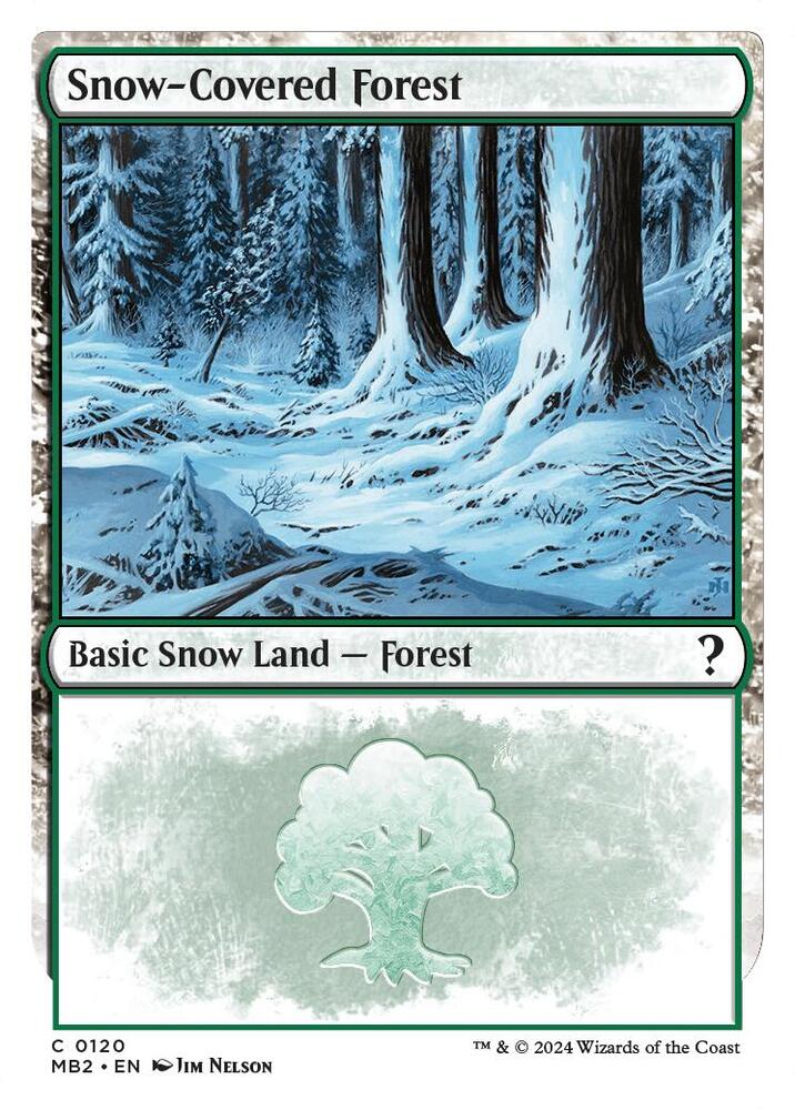 Snow-Covered Forest - Land